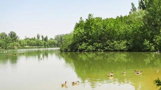 世界环境日北京主场活动在翠湖国家城市湿地公园举办