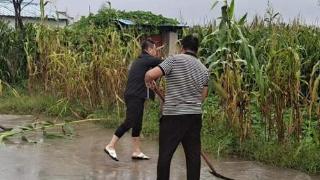 我市农业农村部门积极应对强降雨保障农业生产