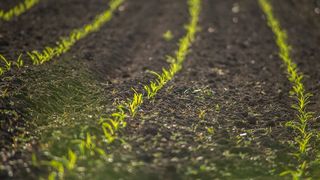 一种新的土壤健康评价方法“问世”