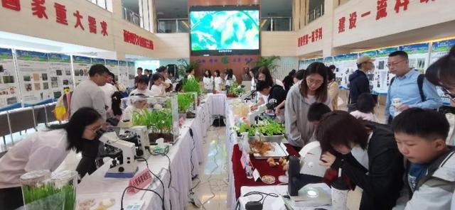 践行植物医生使命，守护国家粮食安全