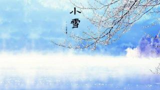 小雪节气将至，这些“黑色食物”帮你补肾泄火，保护皮肤，过暖冬