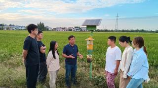 圆湖农业专业合作社开展水稻“四高”示范基地建设