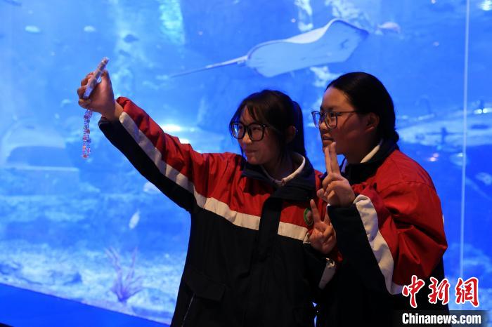 青海藏乡学子化身“驯养师”感受海洋生物习性