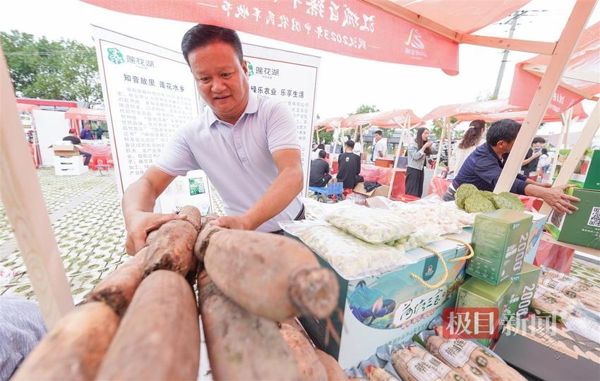 庆丰收，促和美！农民丰收的喜悦在武汉田间跳动