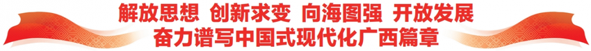 中国东信打造国家级数字经济平台——重访习近平总书记视察的中国—东盟信息港股份有限公司