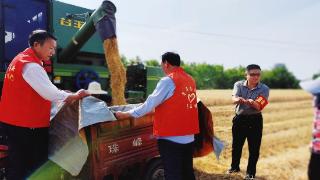 成立14支服务队 帮助缺劳户收麦