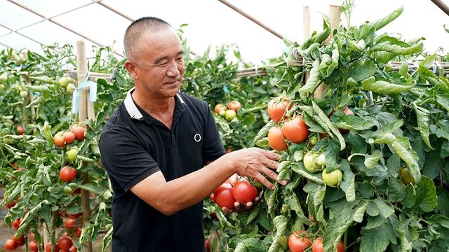 张掖市甘州区沙井镇：制种产业助力乡村振兴