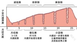 子宫内膜不均一定是息肉吗？不一定！