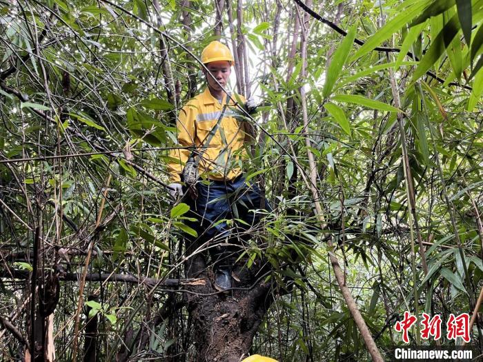 他们，为春运“砍出”安全通道