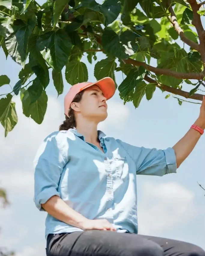 美国水果探险家：全国找水果古树，就为拯救那些要绝种的稀有水果
