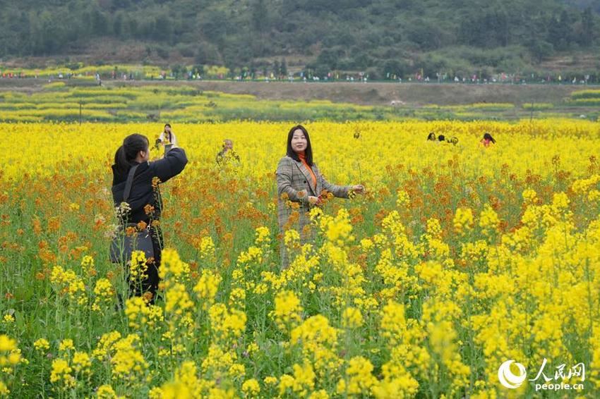 江西永新2024年油菜花乡村生态旅游节开幕