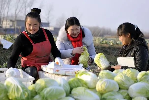 这6种蔬菜“聪明人”从来不买，菜贩子：家里人也不吃