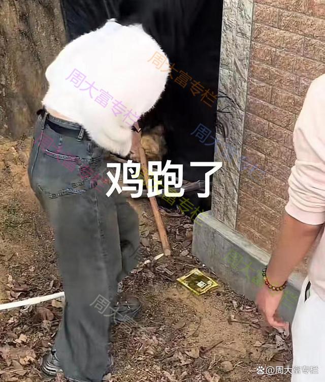 女子相亲，把家里大公鸡送给男友：疼自己未来的丈夫没毛病