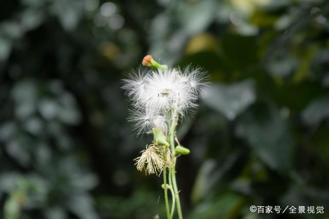 有兄弟姐妹在，不管走到哪里，心里都是有底气的