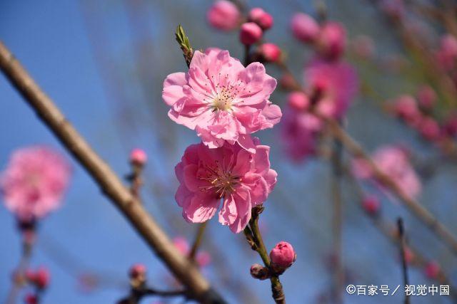 夫妻之间最好的相处方式，就是做到“三不碰”