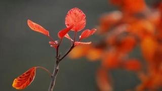 在亲家面前，不要轻易暴露自己的困境，这才是真正为子女着想