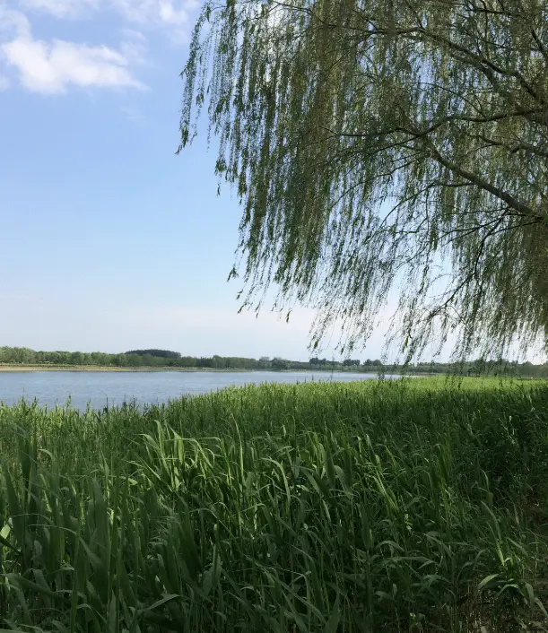 《大运河生活图鉴》出炉，北京榜上有名