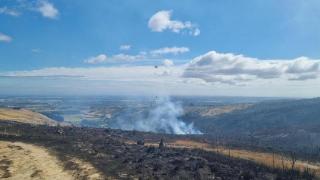 新西兰克赖斯特彻奇森林火灾持续 当地投入更多力量灭火