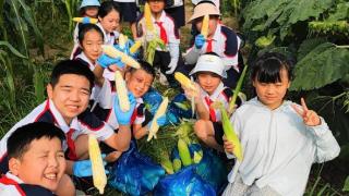 郑州市金水区第二实验小学：最美丰收季 劳动享快乐