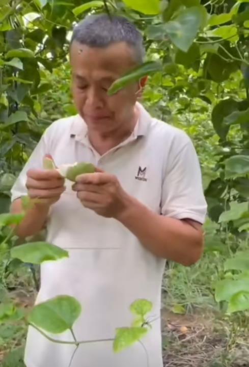 全红婵家被台风摧毁严重，婵爸婵妈情绪低落，爷爷在院里捡树枝