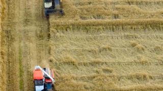 江苏省泰州市255万亩小麦收获过五成