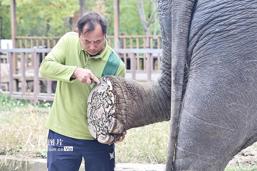 江苏南通：野生动物体检忙