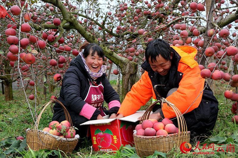 云南昭通：迎着“昭”霞 “通”往美好