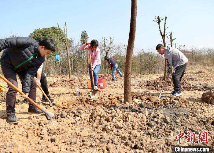 江西去年植树造林379.7万亩 全省各界掀起全民植绿热潮