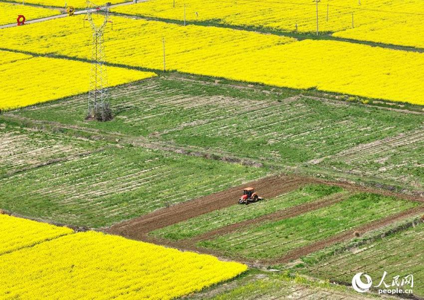 江西湖口：翻耕高标准农田助力粮食生产