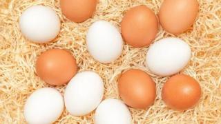 鸡蛋与鸭蛋的那些区别，你真的了解吗？