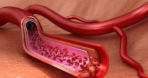 哪3大特征表明血管有糖