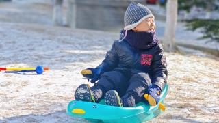 北京迎兔年初雪，网友晒图分享喜悦：“兔”个好彩头