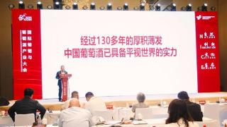 中国葡萄酒行业迎来10亿元新变化，产区化发展成效显著