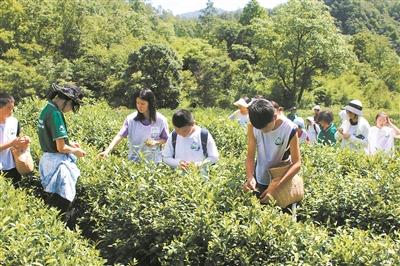 大熊猫国家公园白水江分局开展暑期自然教育活动