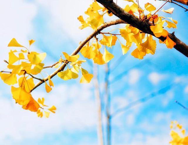 四十不惑：洞悉这六大人生智慧，余生安然无虞