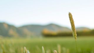 长江禁渔逼出一个全国乡村旅游重点村