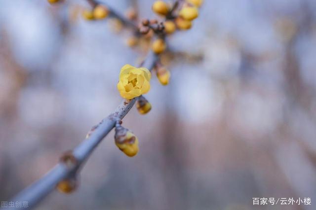 丈夫月薪过万，妻子却对外说5千，遇事后丈夫终于懂了妻子的苦心