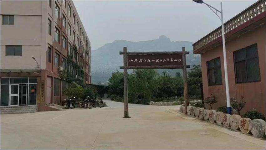 知行泰安|玩转自然学堂，开启夏日研学之旅