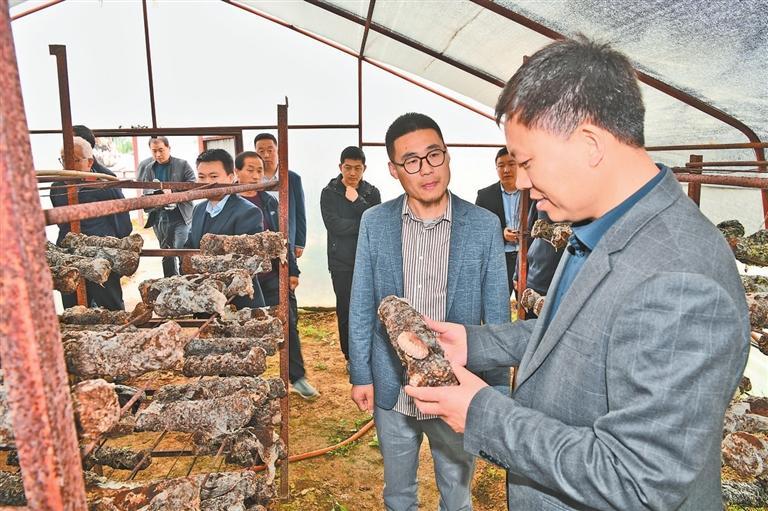 田间“把脉搏” 现场“开良方”