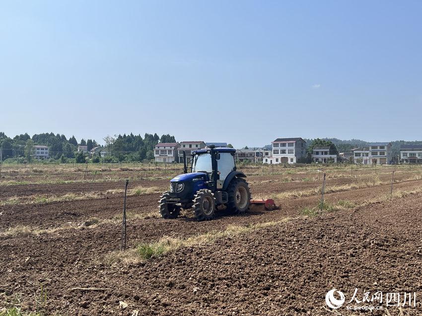 四川资阳：依托成渝地区双城经济圈发展机遇 打造成渝绿色食品供给基地