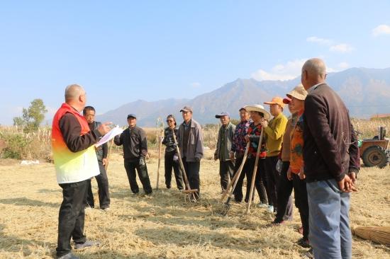 河北蔚县：田间地头忙宣讲 农技护航促丰收