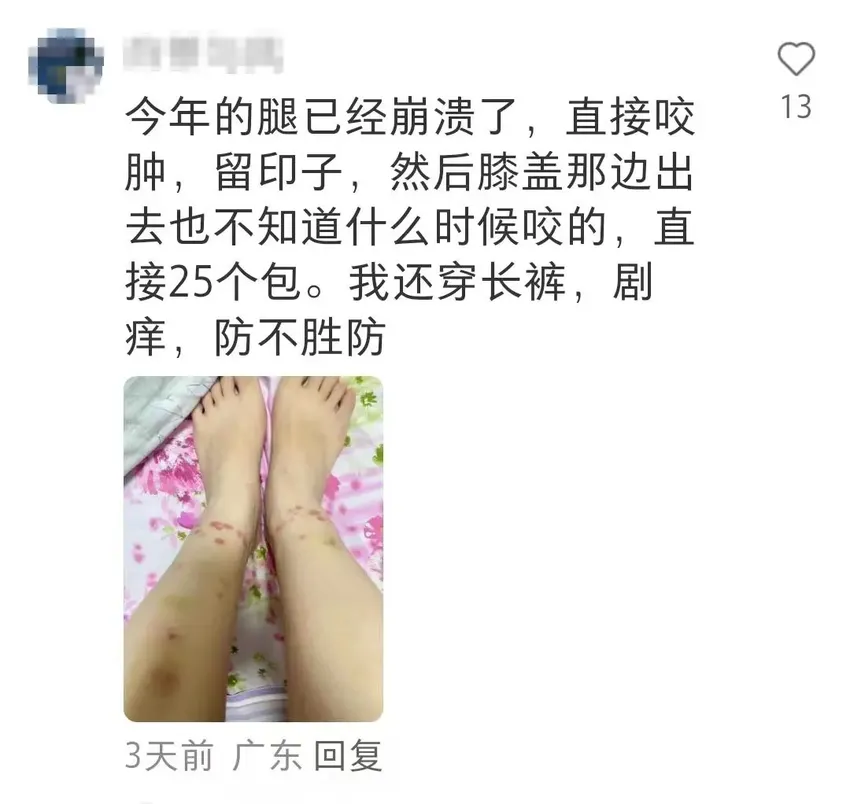 崩溃！这个“吸血鬼”，又猛又难缠！最近多人中招，街坊：去年的还未好，今年又续上