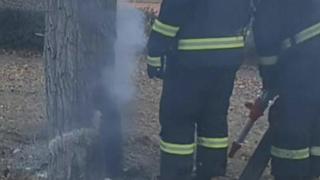天津一小学东侧一颗树着火，消防员用直流水枪浇灭