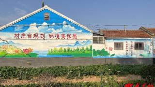 潍坊滨海区大家洼街道园子村：全力推进绿化美化工程，打造宜居宜业和美乡村
