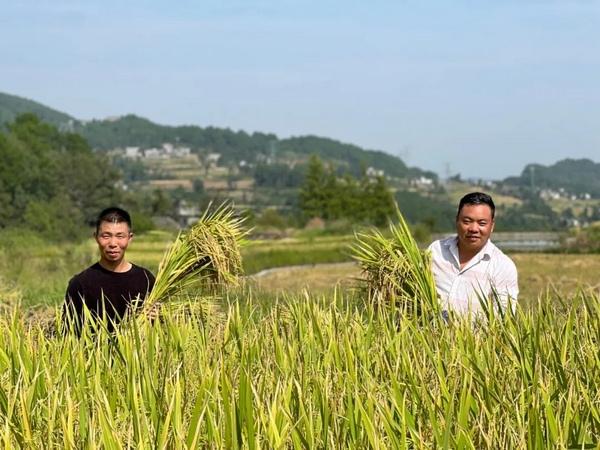 遵义市加快推进现代山地特色高效农业强市建设