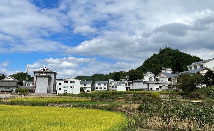 打造和美乡村 ！贵阳市白云区以“五治”为抓手扮靓农村生态