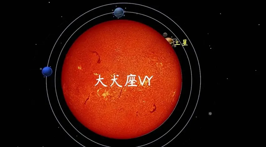 巨型恒星能有多大？太阳无法相提并论，竟然敢和太阳系比大小