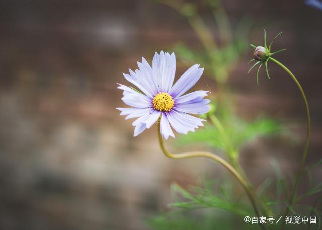 一个家庭发展得好不好，从男人能看出来