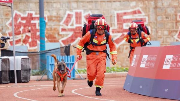 关于领养退役搜救犬领养的通知