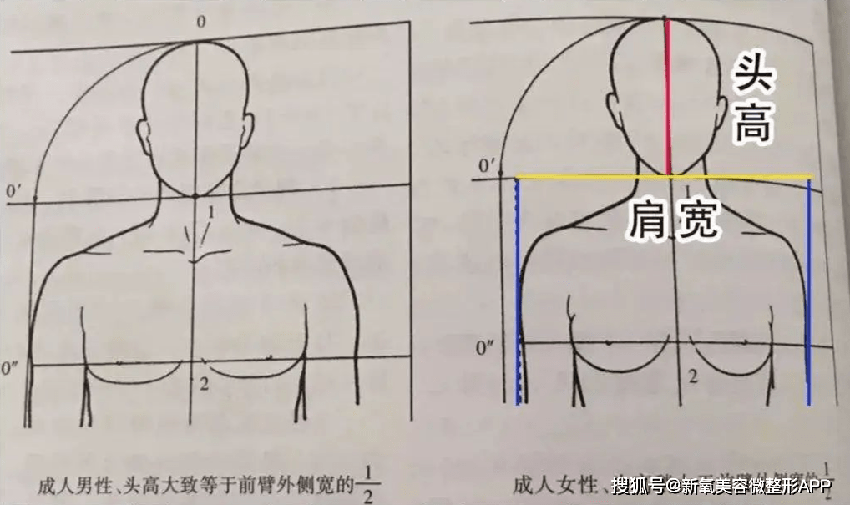 脸还没露就同台碾压FBB？！生图曝光的她确实是凭实力…